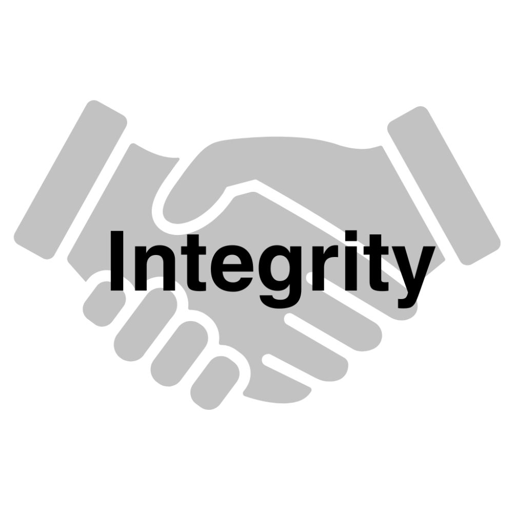 DLA Partners Professional Accountants and Advisors in Brisbane Integrity